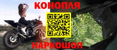 стафф Волгодонск