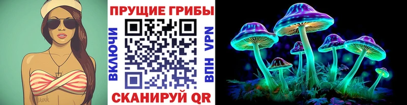 Галлюциногенные грибы Psilocybe цены наркотик Славгород