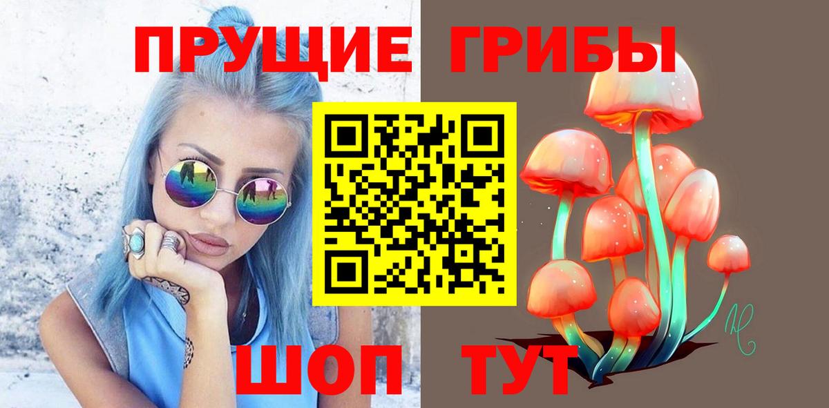 Псилоцибиновые грибы Psilocybine cubensis  Славгород  Псилоцибиновые грибы прущие грибы 