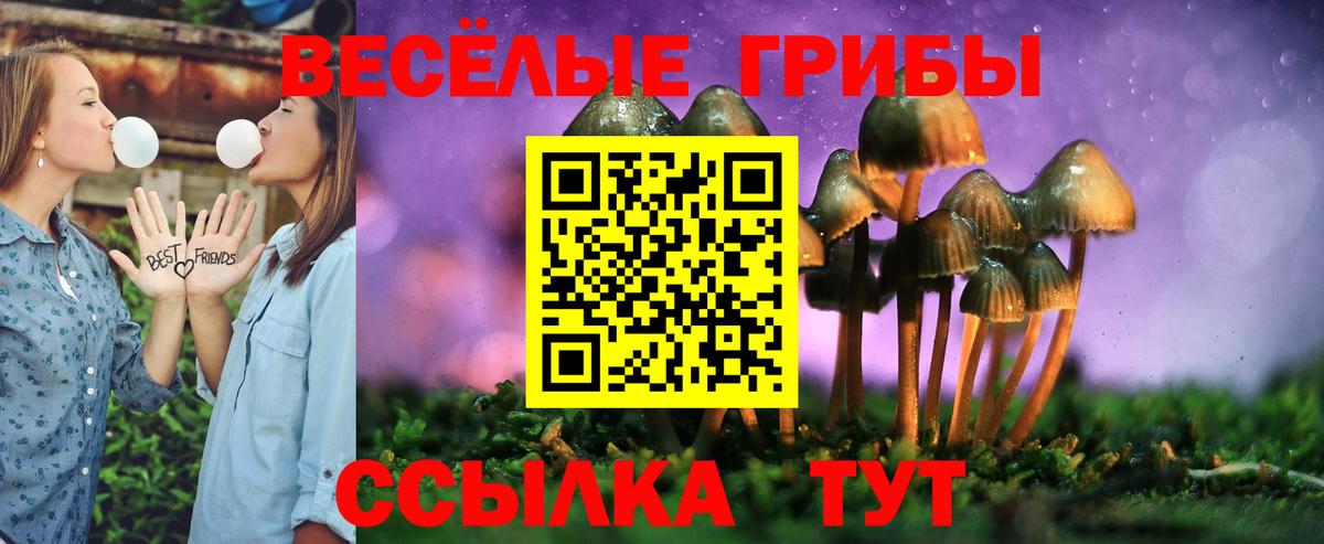 Псилоцибиновые грибы прущие грибы Славгород