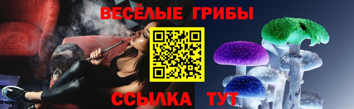 Галлюциногенные грибы Magic Shrooms  купить наркотики сайты  Славгород  Вход с VPN 